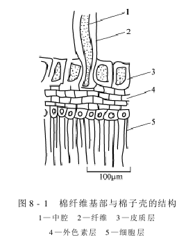 概述 軋花機理