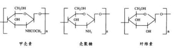 論殼聚糖纖維織物及其性能