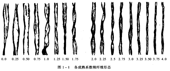 棉纖維成熱度的指標