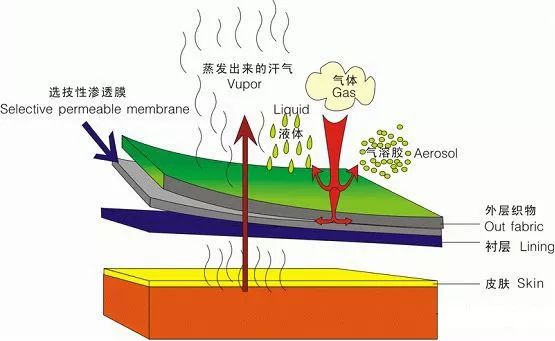 PUR熱熔膠在復(fù)合面料和電子產(chǎn)品領(lǐng)域的應(yīng)用！